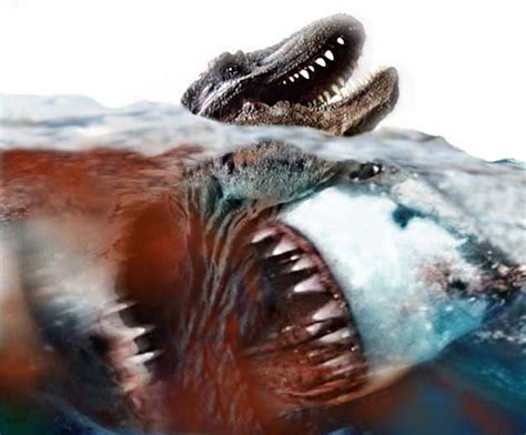 Megalodon Shark Vs T Rex