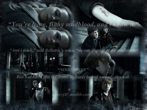 Mudblood - Harry Potter Photo (24093686) - Fanpop