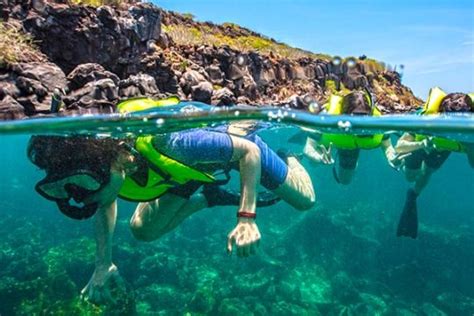 The Ultimate Galapagos Snorkeling Guide for Day Tours!