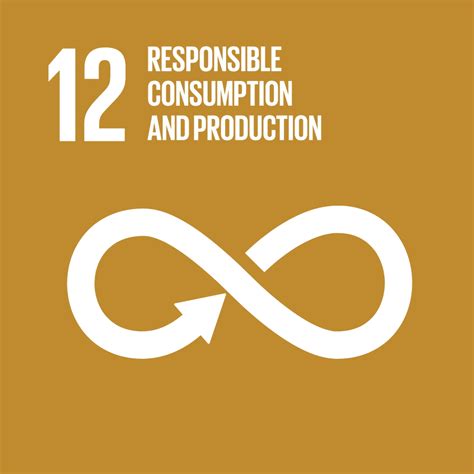 Goal 12—Ensuring Sustainable Consumption and Production Patterns: An ...