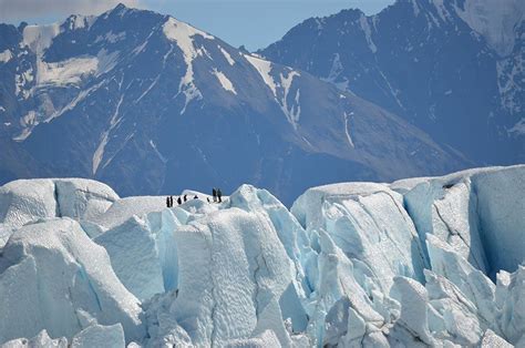 Anchorage Guided Sightseeing Tour | Matanuska Glacier Hiking