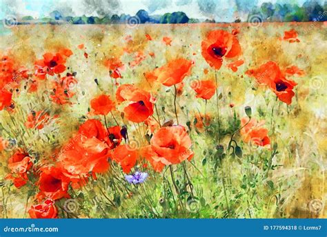 Poppy Fields Painting