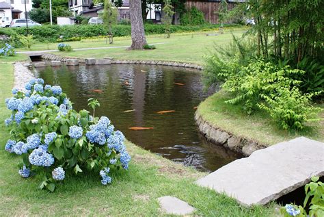 Sustainable Backyard Fish Farming: How to Dig A Pond & Raise Fish ...