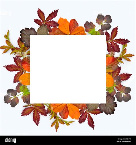 Beautiful mix of different multicolored autumn leaves - frame around blank card, Template for ...