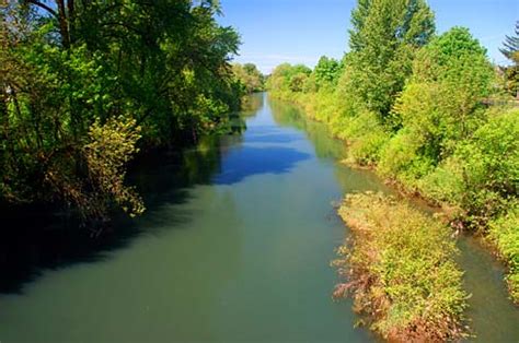 File:Yamhill River (Yamhill County, Oregon scenic images) (yamDA0079a).jpg - Wikimedia Commons