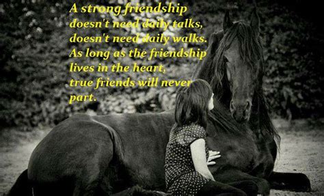 Horse Friendship Quotes. QuotesGram