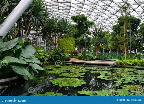 Jewel Changi Airport Canopy Park Royalty-Free Stock Image ...