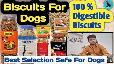 best biscuits for dogs || digestible biscuits || safe for dogs | dog को ...