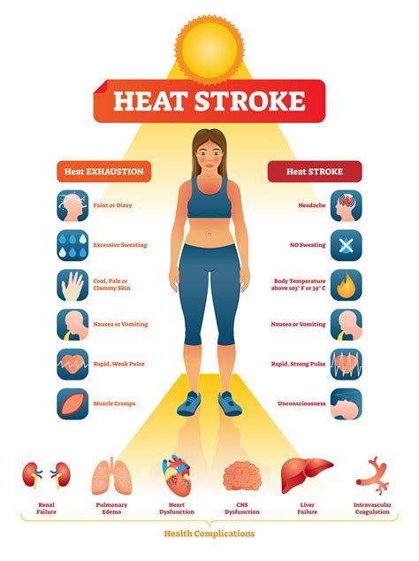 Heat Exhaustion vs. Heat Stroke: Know the Difference