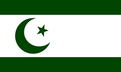 I tried to redesign the Pakistani flag, this is my first attempt. I ...