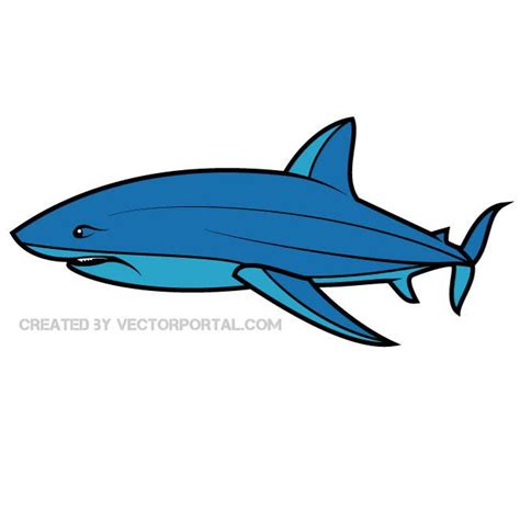 Blue Shark Drawing