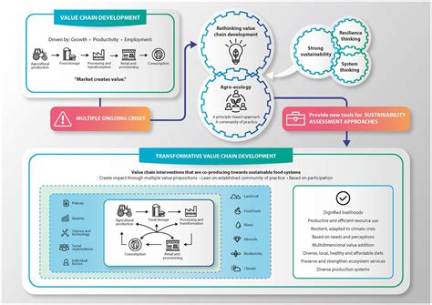 Frontiers | The transformative value chain: rethinking food system interventions