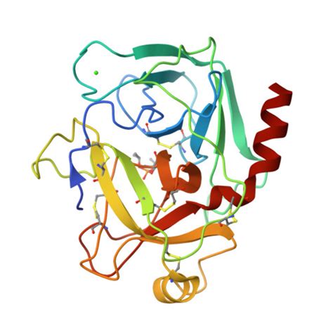 RCSB PDB - 2TGD: LACK OF THE TRANSITION STATE STABILIZATION SITE IS A FACTOR IN THE INACTIVITY ...