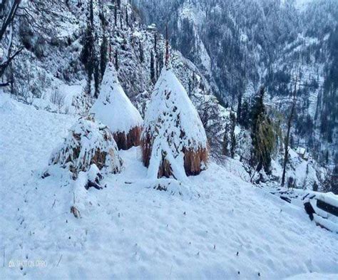 Snowfall in Patnitop: पत्नीटॉप में बिछी पांच से आठ इंच बर्फ की चादर ...