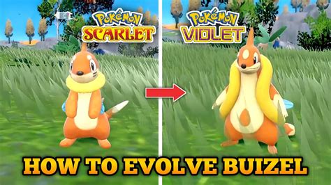 Floatzel Evolution Chart