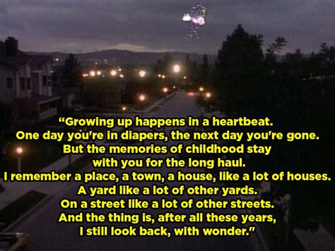 The Wonder Years | Wonder years quotes, 90s tv shows, Wonder years