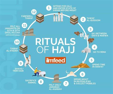 An infographic on the rituals of #Hajj. | Homeschool activities, Hajj pilgrimage, Rituals