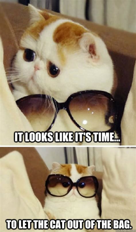 It looks like it's time... To let the cat out of the bag. - I look fabulous! - quickmeme