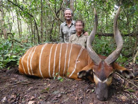 Hunting in Cameroon forest - Fauna Safari Club | Voyages de chasse