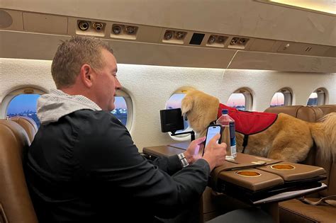 The life of Ben: Meet Kirk Herbstreit’s jet-setting golden retriever ...