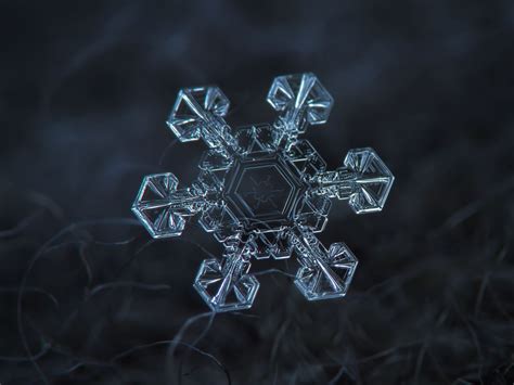 息を飲むほど美しい雪の結晶（画像）