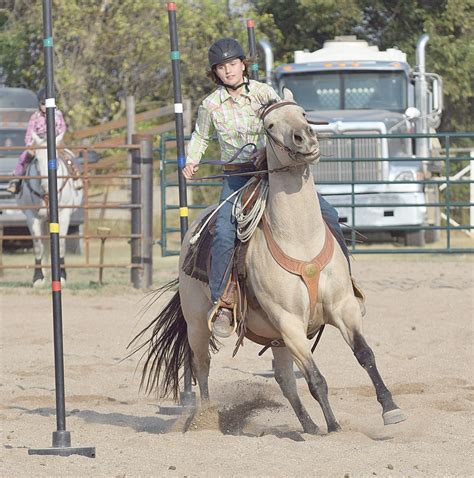 Gymkhana, horse pulls draw crowd to Craik | The Davidson Leader