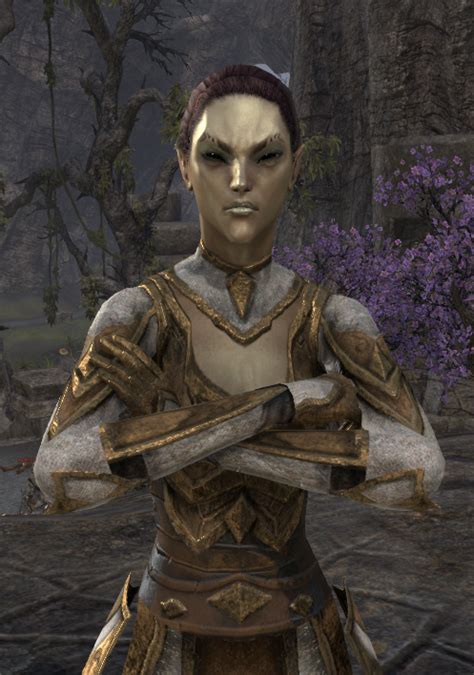 Chimer - Ancestors of Dunmer, splinter group from Altmer | Elder ...