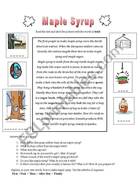 Maple Syrup - ESL worksheet by anahutten