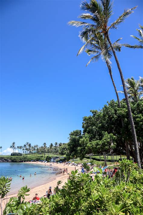 Kapalua Coastal Trail: Beautiful Maui Beach Walk For All Ages