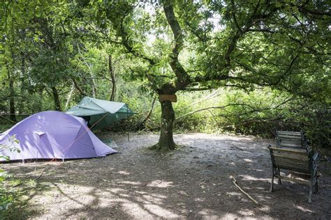 Woodland Tent Camping at Blackberry Wood - Cool Camping