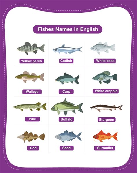 Types Of Fishes And Their Names 18632 Animals Name In - vrogue.co