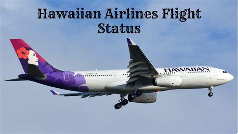 Hawaiian Airlines Flight Status Updates [Stay Aloft with the Latest]