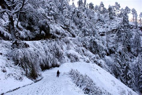 Kalpa in Himachal Wrapped in Snow Blanket | Winter 2019 in Images: Snowfall Turns Himachal ...