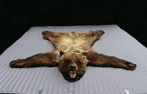 Grizzly Bear Rug – P&D International Furtraders