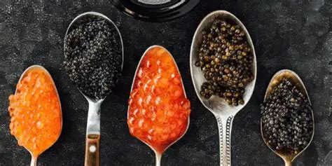 Unveiling Caviar types : Find best caviar types from Beluga to Sevruga and Beyond