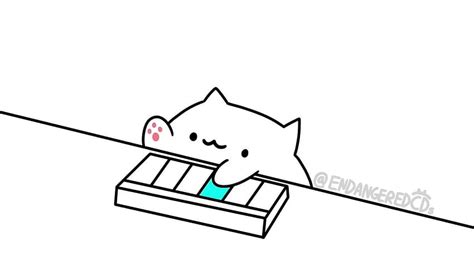 Bongo cat - super Mario theme song. bongo cat. Cats, Cute HD wallpaper | Pxfuel