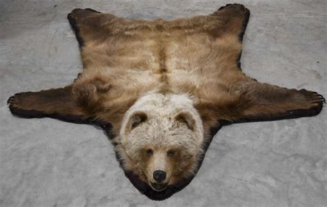 Sold Price: Grizzly Bear Full Body Taxidermy Rug - January 6, 0120 10:00 AM CST