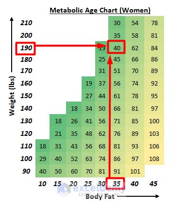 Metabolic Age Calculator in Excel (3 Applications)