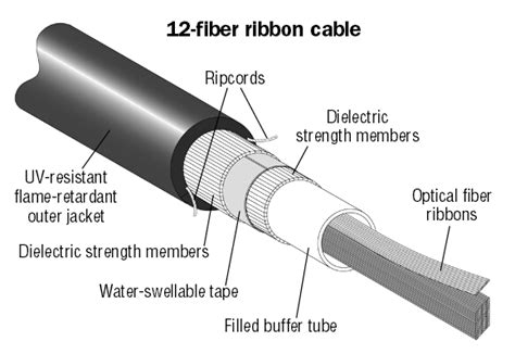 The Ribbon Fiber Optic Cable Options for Local Area Networks and Data Centers - Fiber Optic ...