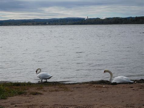 onondaga lake park 2 | Julie Journeys