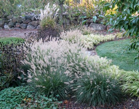 Pin by Maria C on Little Brook Garden | Grasses landscaping, Plants ...