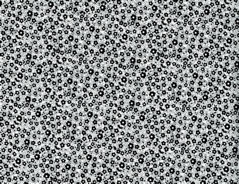 Cotton Quilt Fabric Focus II Black And White Calico Floral - AUNTIE CHRIS QUILT FABRIC. COM