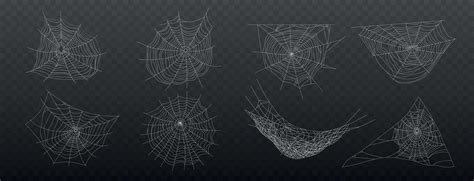 Realistic Cobweb Icon Set 4902468 Vector Art at Vecteezy