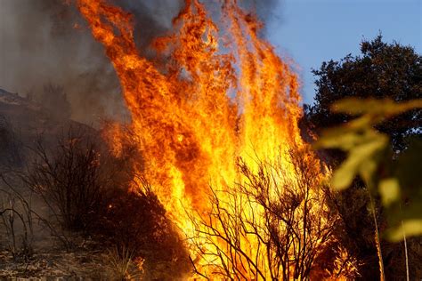 New California Fire Spreading Rapidly in San Bernardino County - Newsweek