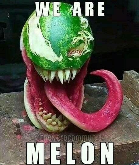 Melon - Meme by The_Harper :) Memedroid