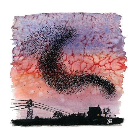 Starling Murmuration Print – Slow Loris