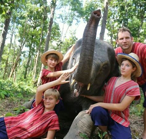 Half Day Elephant Bathing & Short Trekking Tour in Chiang Mai - TakeMeTour