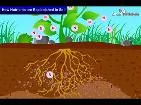 How are Nutrients Replenished in Soil? Video Lecture - Advance Learner Course: Science Class 6