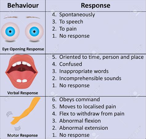 EMT: Glasgow Coma Scale Chart Diagram | Quizlet