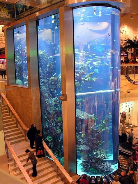 11+ Incredible Aquarium Designs That You Can Try To Make Your Home Look Alive 2 | Amazing ...